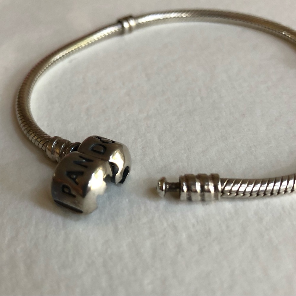 Pandora moments snake chain bracelet with bead